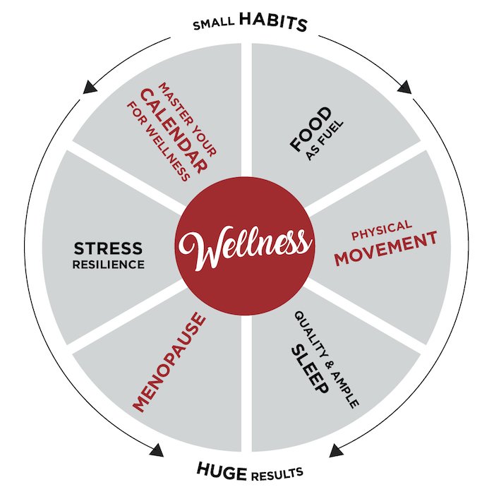 2022 Alexandria Wellness Wellness Wheel