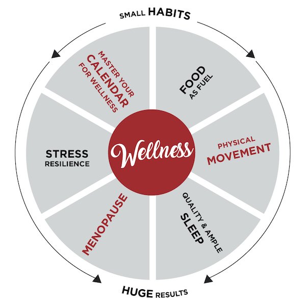 2022 Wellness Wheel Created By Alexandria Wellness 