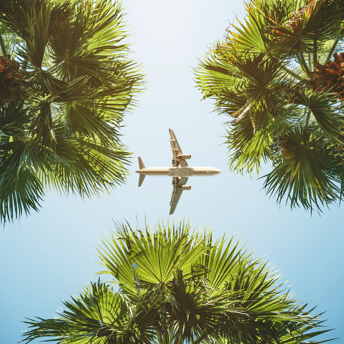 Airplane In The Sky Seen Through Palm Trees