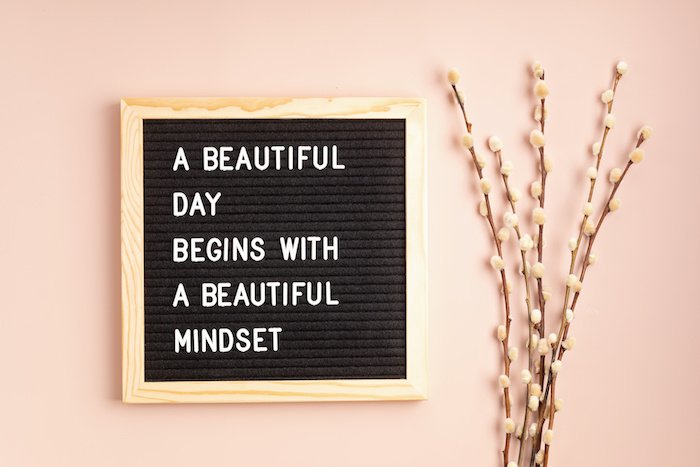 Felt Letter Board With Text Beautiful Day Begins With Beautiful Mindset With A Plant Next To It