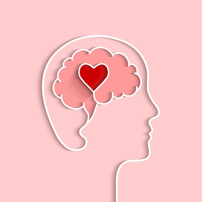 Head And Brain Outline With Heart Concept. Vector Illustration In Flat Design With Shadow On Light Pink Background.