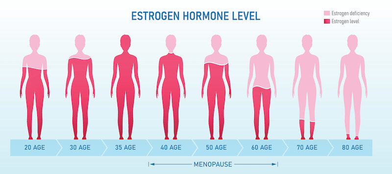 Estrogen Levels For Dr. Simon Event