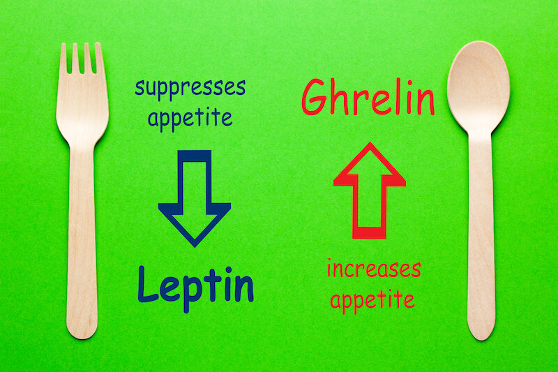 Leptin And Ghrelin Appetite Hormones Diagram With Spoon And Fork On Green Background.