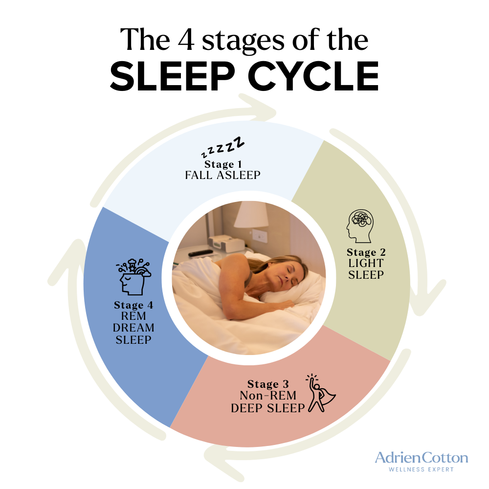 4 Stages Of The Sleep Cycle - Infographic (Falling Asleep, Light Sleep, Non-Rem Deep Sleep, And Rem Dream Sleep)