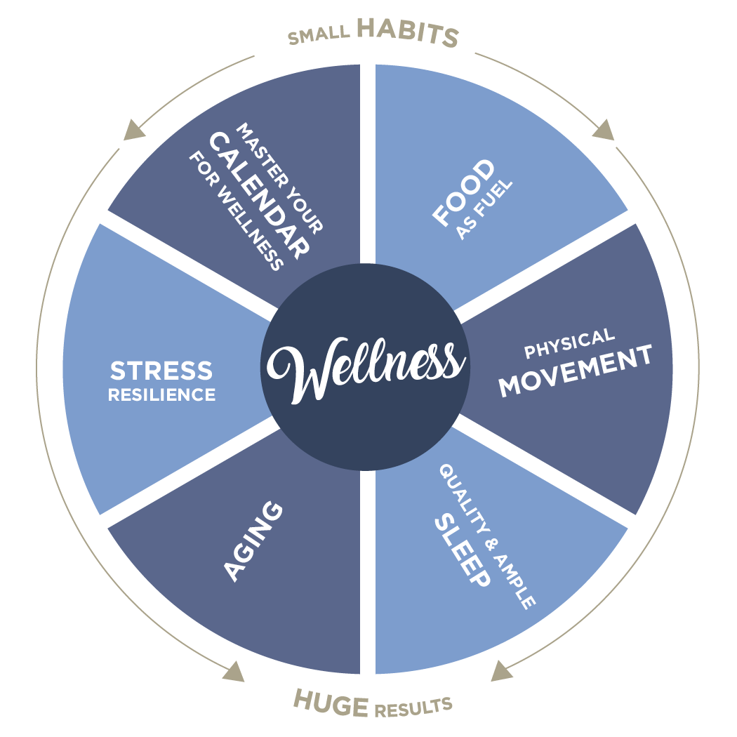 Wellness Wheel