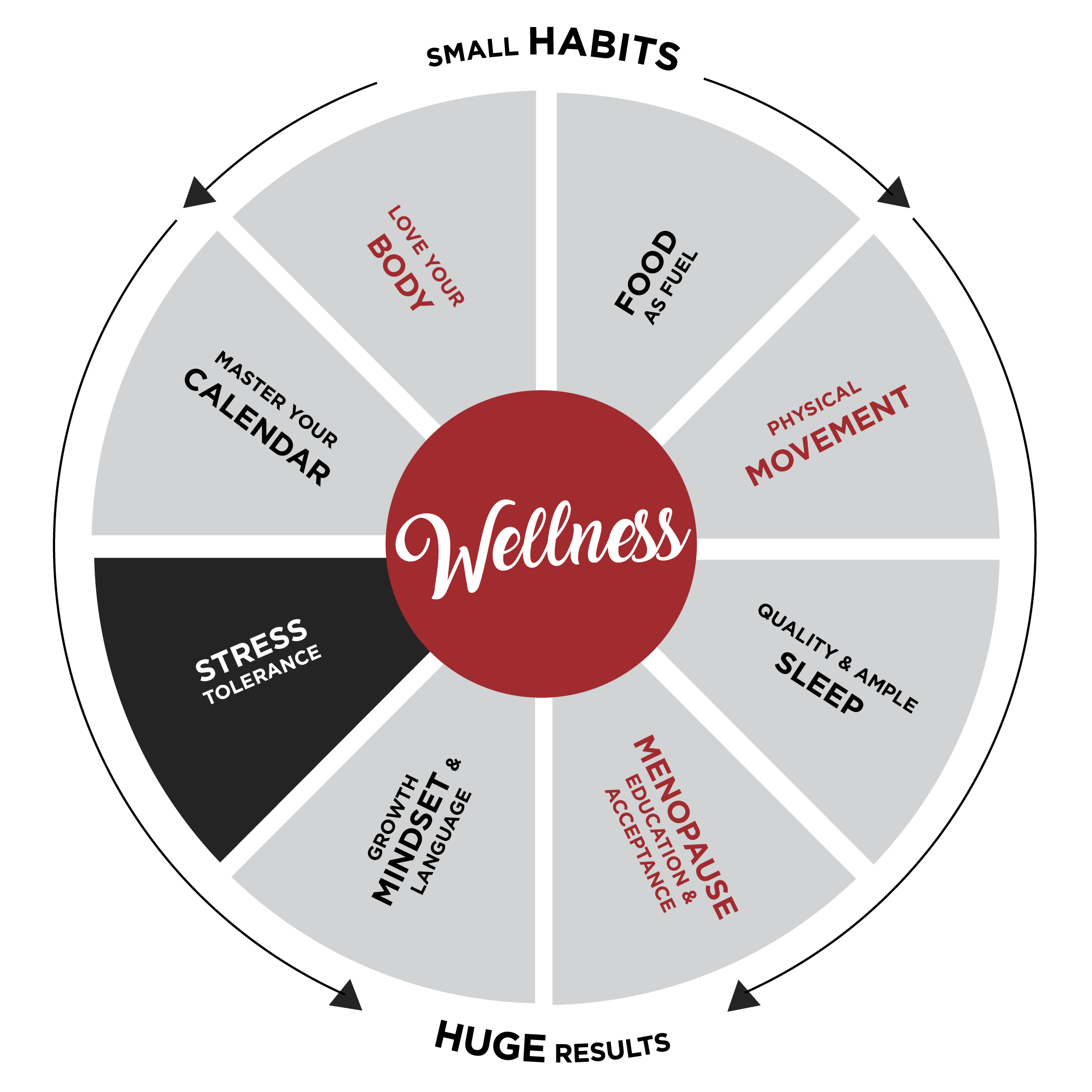 Wellness Wheel Focusing On Stress And Habits To Reduce It.