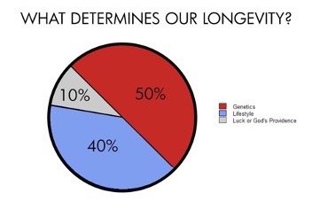 Longevity Pie Chart