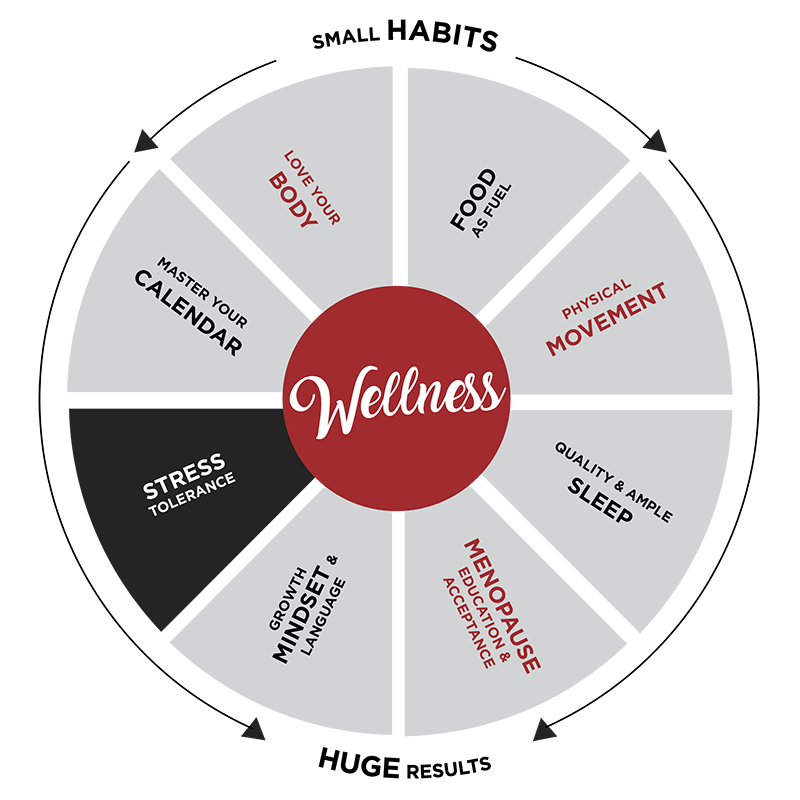 Wheel With Wellness In The Middle And Small Habits , Huge Success Written Around The Outside.